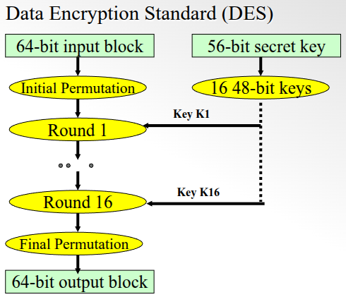 DES Diagram
